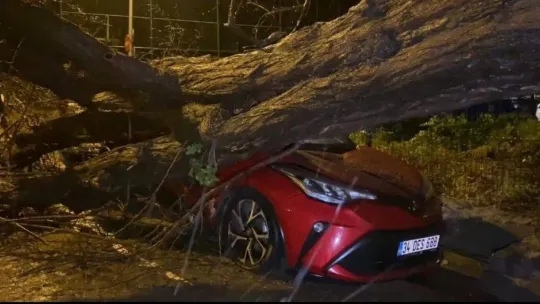 Üsküdar'da yarım asırlık akasya ağacı 2 otomobilin üzerine devrildi