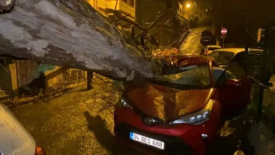 Üsküdar'da yarım asırlık akasya ağacı 2 otomobilin üzerine devrildi