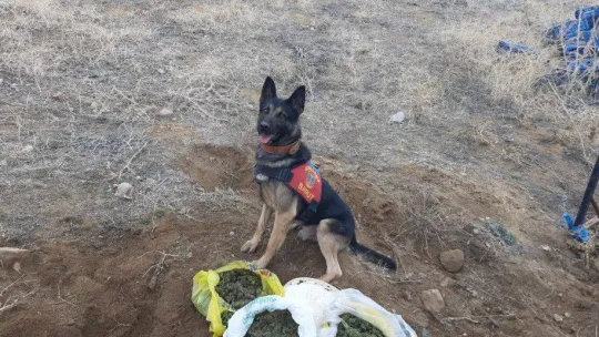 Uyuşturucu imali için evini seraya çeviren zehir tacirlerine jandarma göz açtırmadı