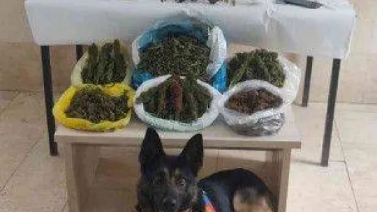 Uyuşturucu imali için evini seraya çeviren zehir tacirlerine jandarma göz açtırmadı