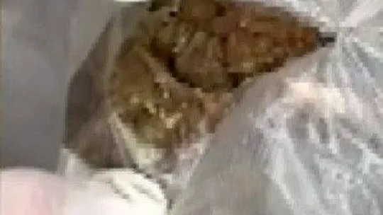 Uyuşturucu operasyonlarında 7 günde 77 şüpheli yakalandı