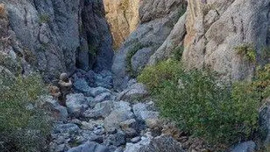 Van'da 'Eren Abluka Jandarma Çavuş Mustafa Bozkurt Operasyonu' başlatıldı