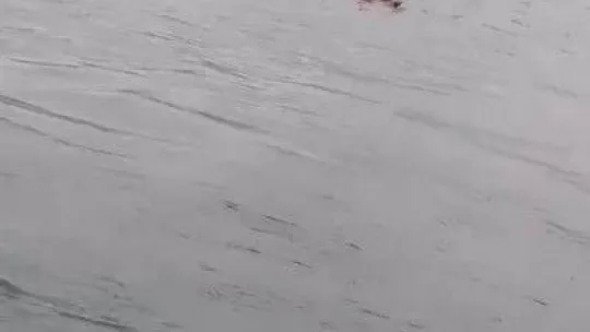 Vapurdan denize yolcu düştü, korku dolu anlar kameraya yansıdı