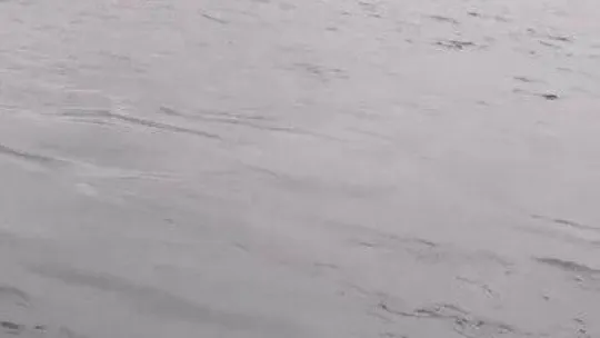 Vapurdan denize yolcu düştü, korku dolu anlar kameraya yansıdı