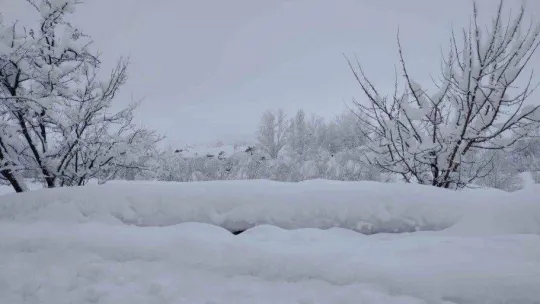 Varto'da 99 köy ve 50 mezranın yolu ulaşıma kapandı