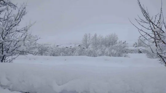 Varto'da 99 köy ve 50 mezranın yolu ulaşıma kapandı