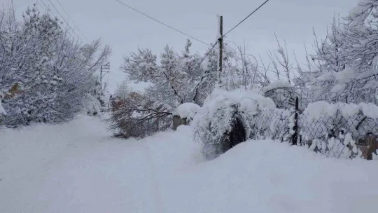 Varto'da 99 köy ve 50 mezranın yolu ulaşıma kapandı