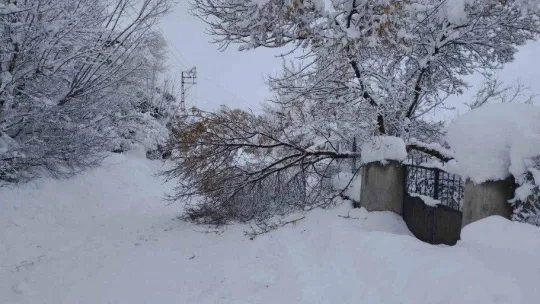 Varto'da 99 köy ve 50 mezranın yolu ulaşıma kapandı