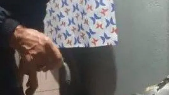 Vatandaşlar yaralı martıyı balıkla besliyor