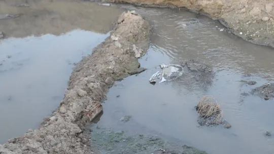 Vatandaştan CHP'li belediyeye lağım isyanı