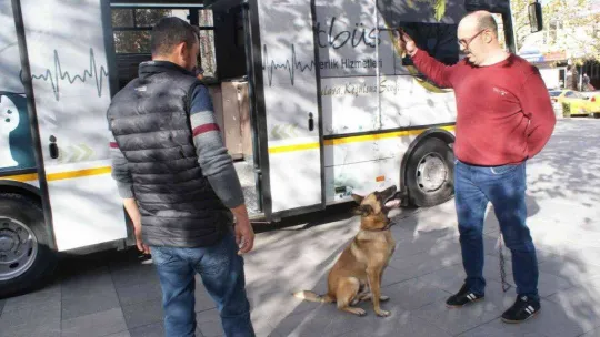 Vetbüs can dostlara sağlık hizmeti sunuyor