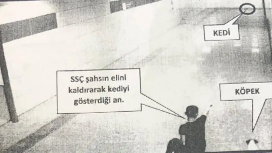Vezneciler kedisine köpek saldırtarak öldürdüğü iddia edilen şahıs hakkında suç duyurusu