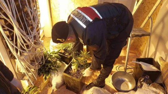 Villa değil uyuşturucu serası