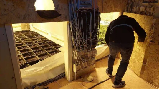 Villa değil uyuşturucu serası