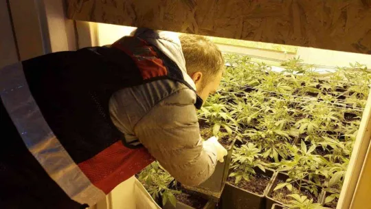 Villa değil uyuşturucu serası