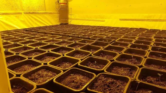 Villa değil uyuşturucu serası