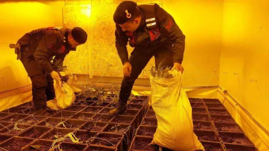 Villa değil uyuşturucu serası