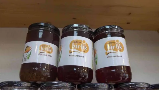 Yalova balı coğrafi işaretle tescillenecek