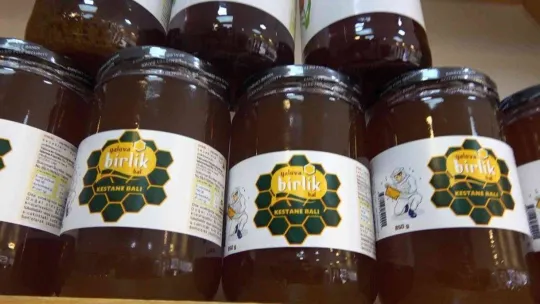 Yalova balı coğrafi işaretle tescillenecek