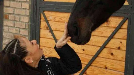 Yalova Belediyesi'nden Dünya Engelliler Günü'ne özel video