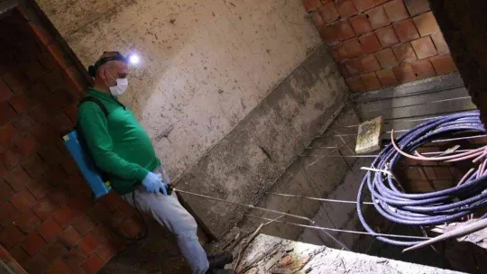 Yalova Belediyesi'nden larva noktalarına ilaçlama