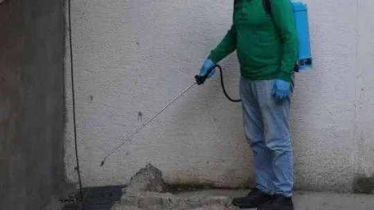 Yalova Belediyesi'nden larva noktalarına ilaçlama