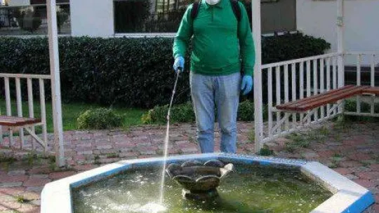 Yalova Belediyesi'nden larva noktalarına ilaçlama