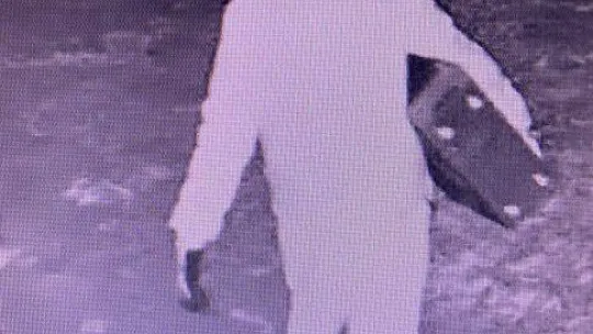 Yalova'da 2 hırsızlık zanlısı tutuklandı