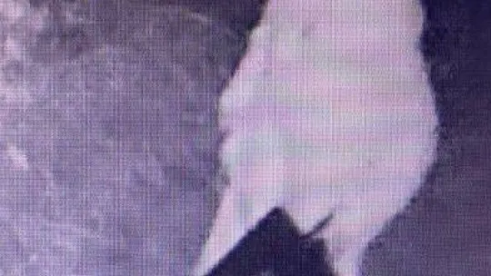 Yalova'da 2 hırsızlık zanlısı tutuklandı