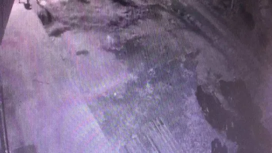 Yalova'da 2 hırsızlık zanlısı tutuklandı