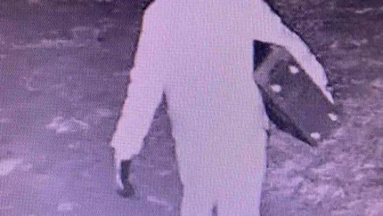 Yalova'da 4 hırsızlık zanlısı yakalandı