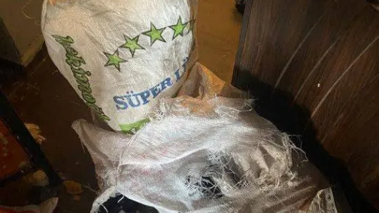 Yalova'da 7 hırsızlık zanlısı yakalandı