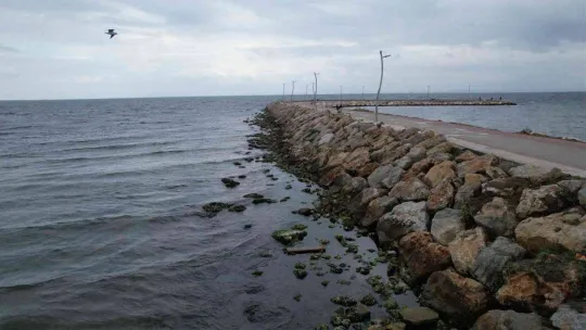 Yalova'da deniz suyu 10 metre çekildi