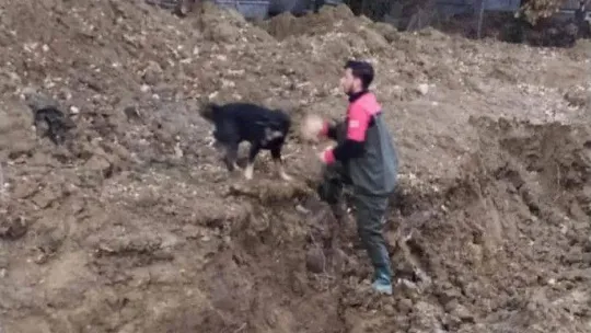 Yalova'da dere yatağına düşen köpeği itfaiye kurtardı