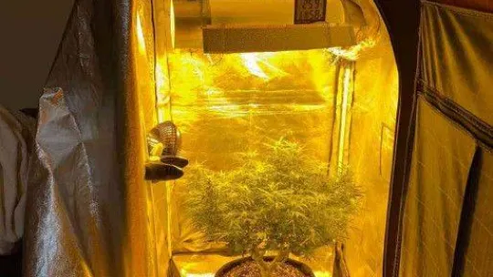 Yalova'da uyuşturucu operasyonu: 20 gözaltı