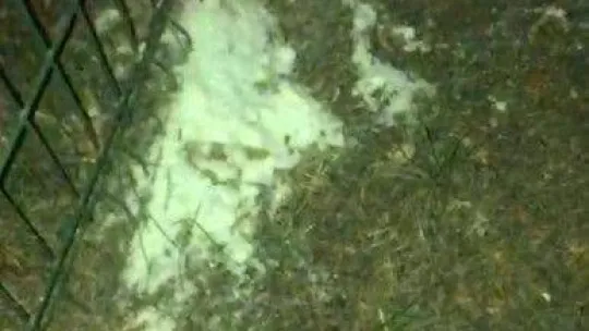 Yalova'da yarım kilo uyuşturucuyla yakalanan zanlı tutuklandı