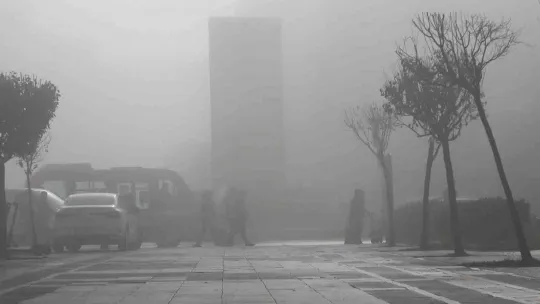 Yalova'da yoğun sis görüş mesafesini 30 metreye indirdi