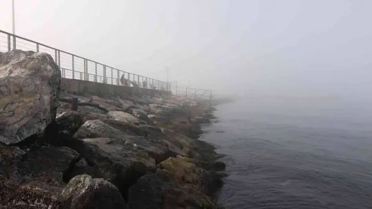 Yalova'da yoğun sis görüş mesafesini 30 metreye indirdi