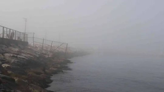 Yalova'da yoğun sis görüş mesafesini 30 metreye indirdi
