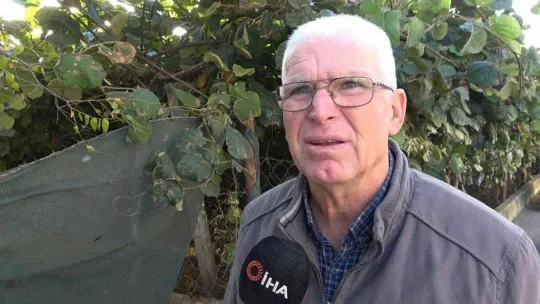 Yalova kivisi yurt dışı pazarına açıldı