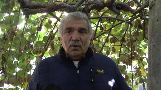 Yalova kivisi yurt dışı pazarına açıldı