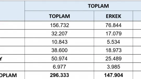 Yalova nüfusu 296 bin 333 oldu