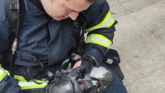 Yanan evden çıkarılan kediyi hayatta tutma mücadelesi