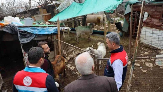 Yangında 8 küçükbaş hayvanı telef olan aileye destek