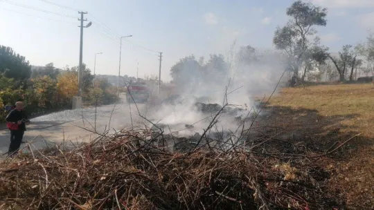 Yangında zeytin ağaçları zarar gördü