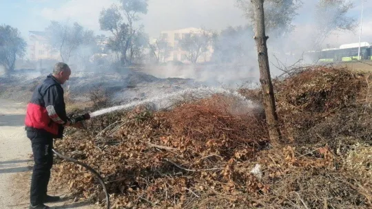 Yangında zeytin ağaçları zarar gördü