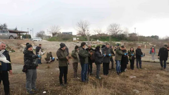 Yaralı ve mühre ördekler özgürlüklerine kavuştu