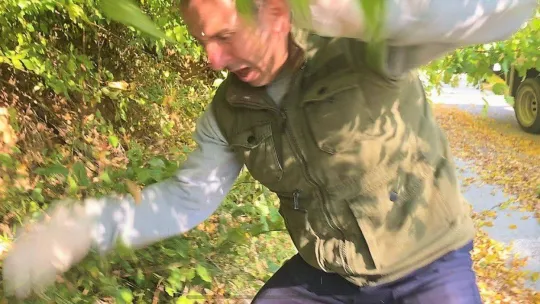 Yaralı yırtıcı kuş, kendisini kurtarmak isteyen görevliyi yaraladı