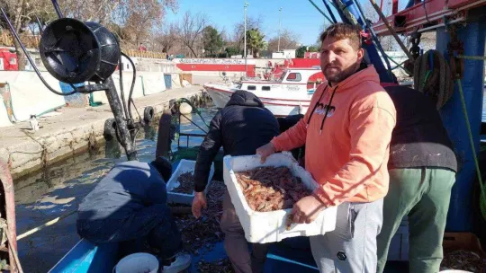 Yasak bitti, karides dolu teknelerle limana döndüler