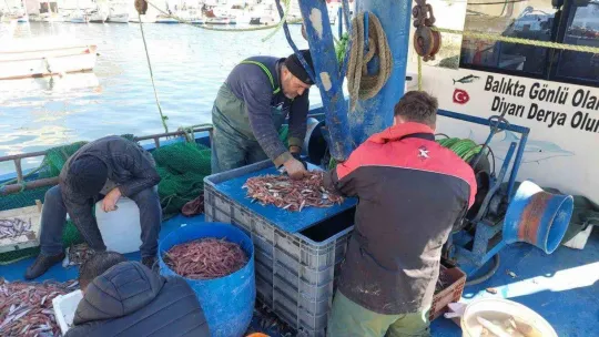 Yasak bitti, karides dolu teknelerle limana döndüler
